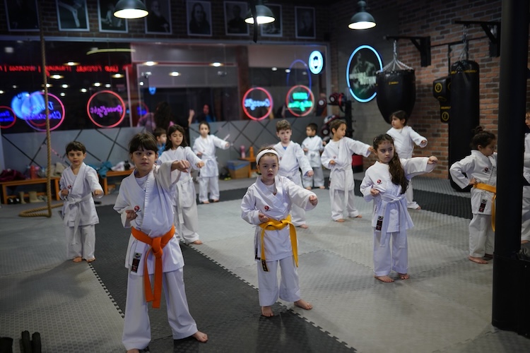 izmir karate kursu