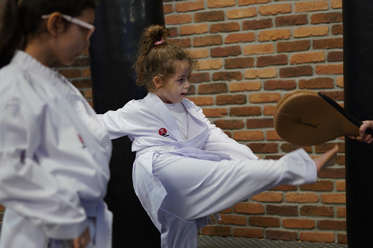 izmir karate okulu