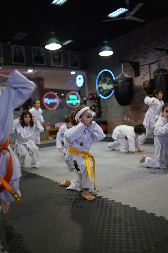 Aikido kurslarının faydaları nelerdir?